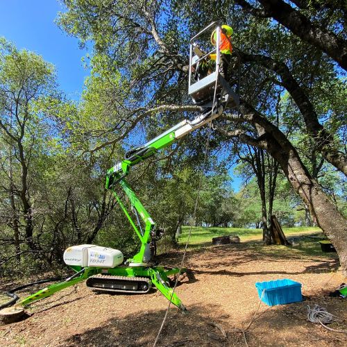 Crane Tree Removal Services in Cameron Park CA