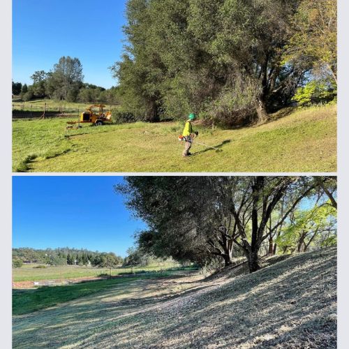 Land Clearing Services in Cameron Park CA