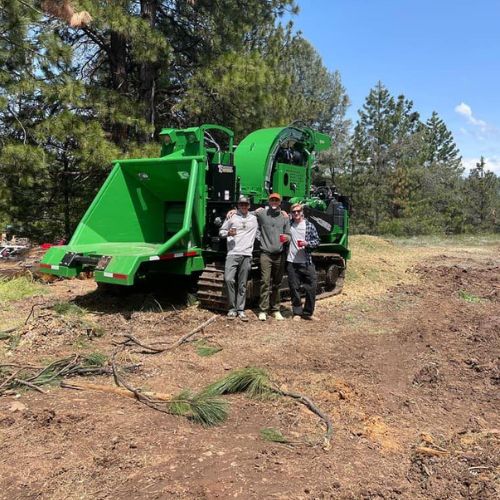 Tree Service in Cameron Park CA