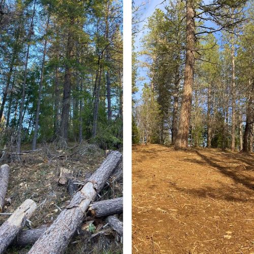 Land Clearing Services in Cameron Park CA