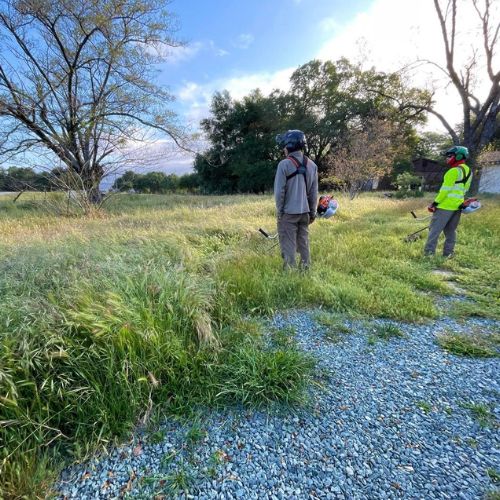 Land Clearing Services in Cameron Park CA