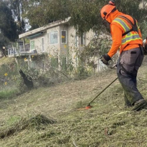 Defensible Space Creation in Cameron Park CA