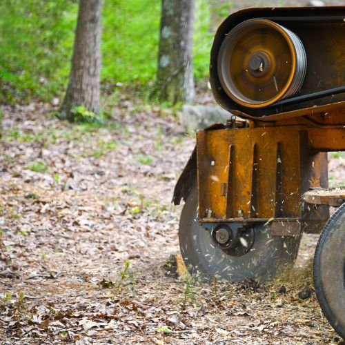 Stump Removal and Grinding in Cameron Park CA