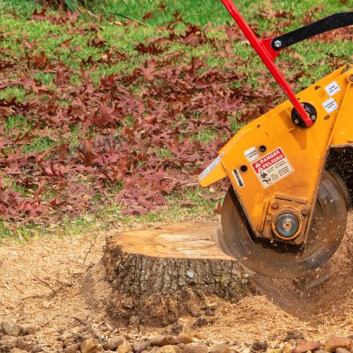 Stump Removal and Grinding in Cameron Park CA