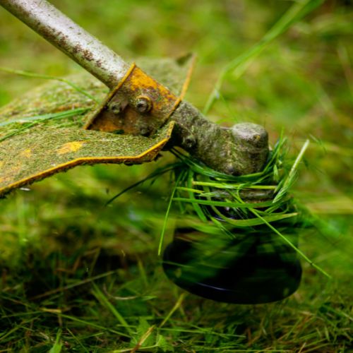 Weed Wacking Brush Clearing in Cameron Park CA